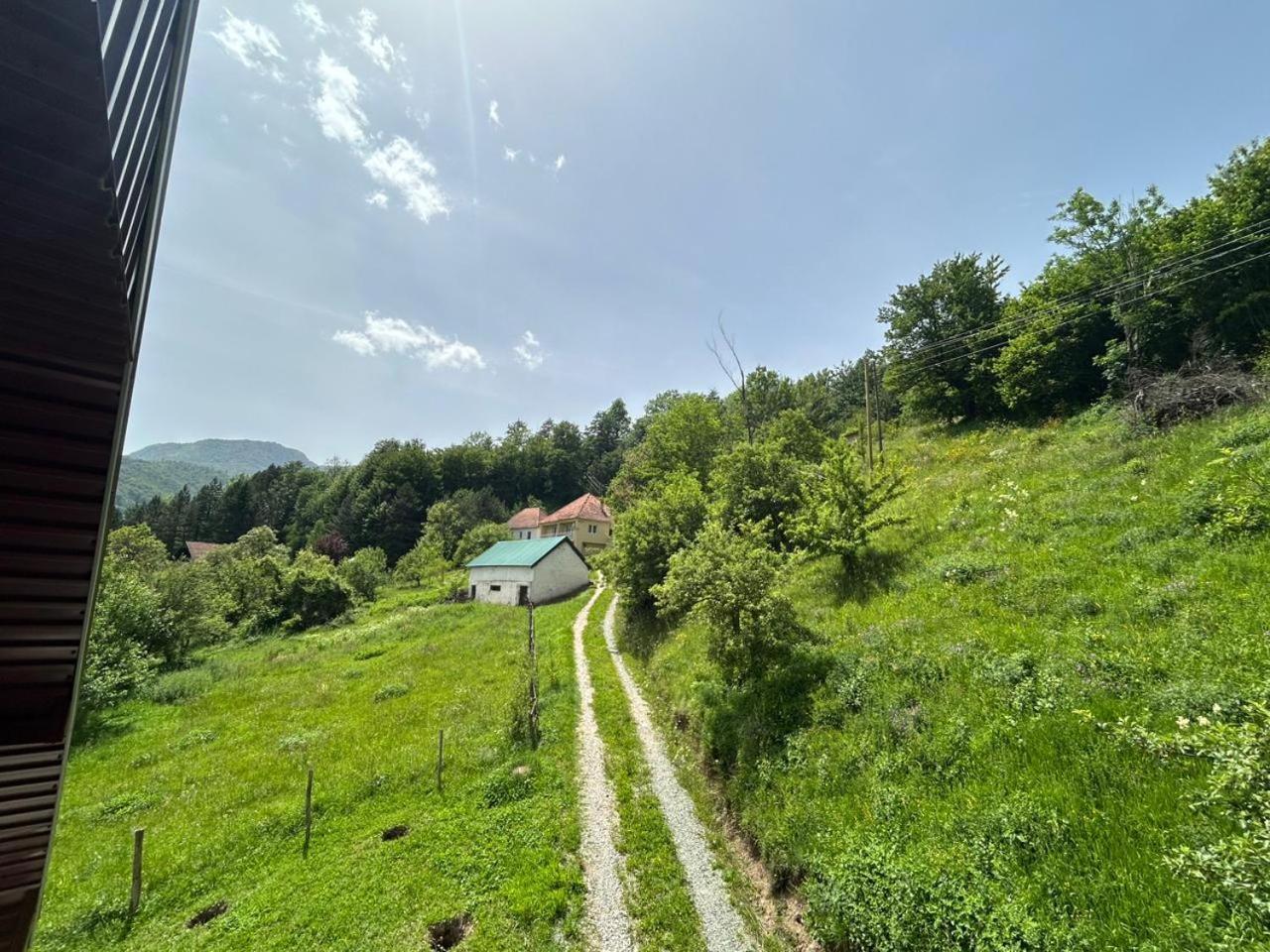 Wolf Mojkovac