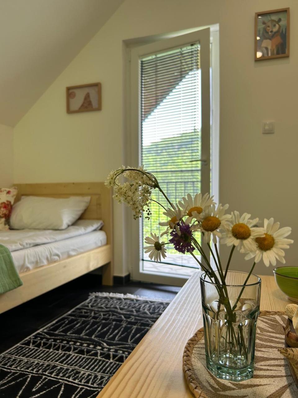 Wolf Apartment Mojkovac
