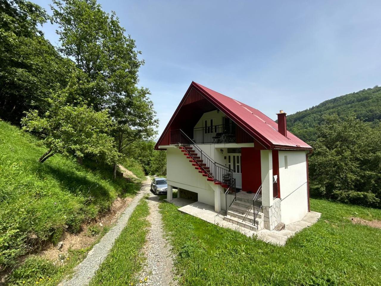 Wolf Apartment Mojkovac