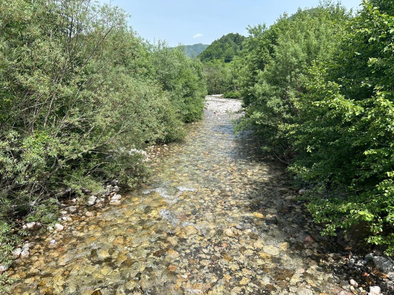 Wolf * Mojkovac