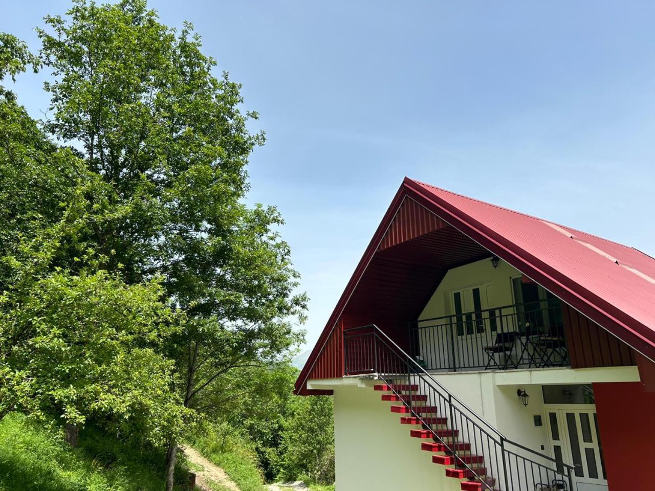 Apartment Wolf Mojkovac