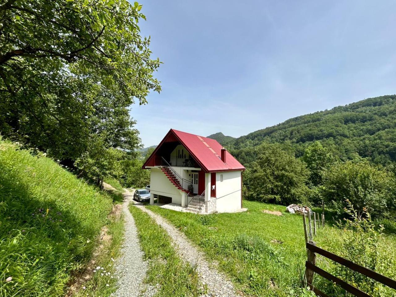 Wolf Mojkovac